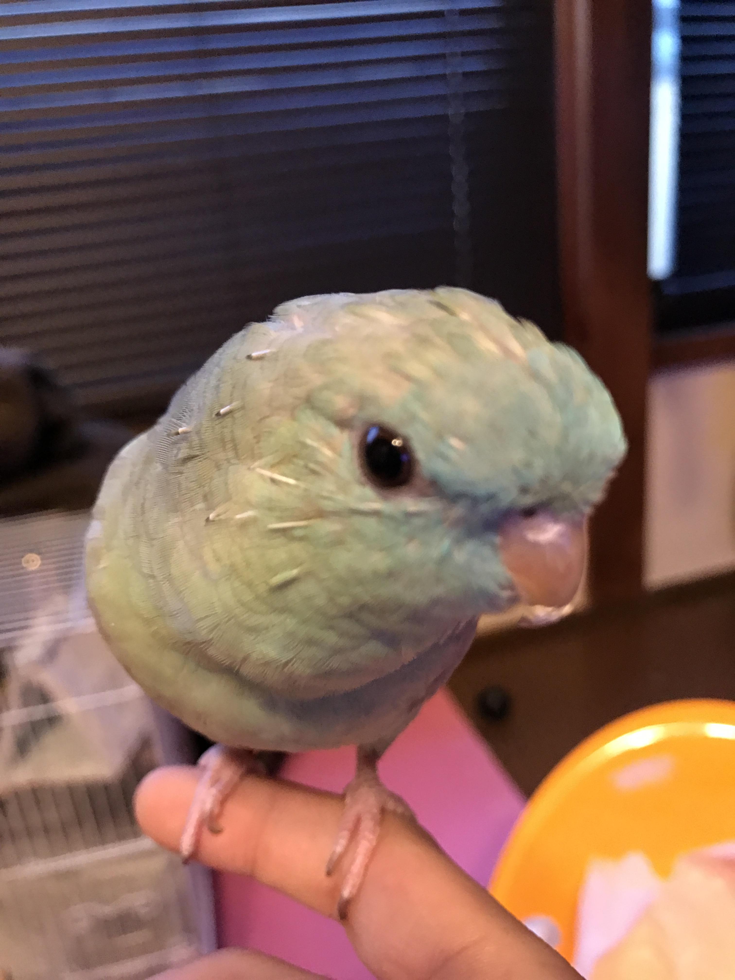 ユーザーの写真