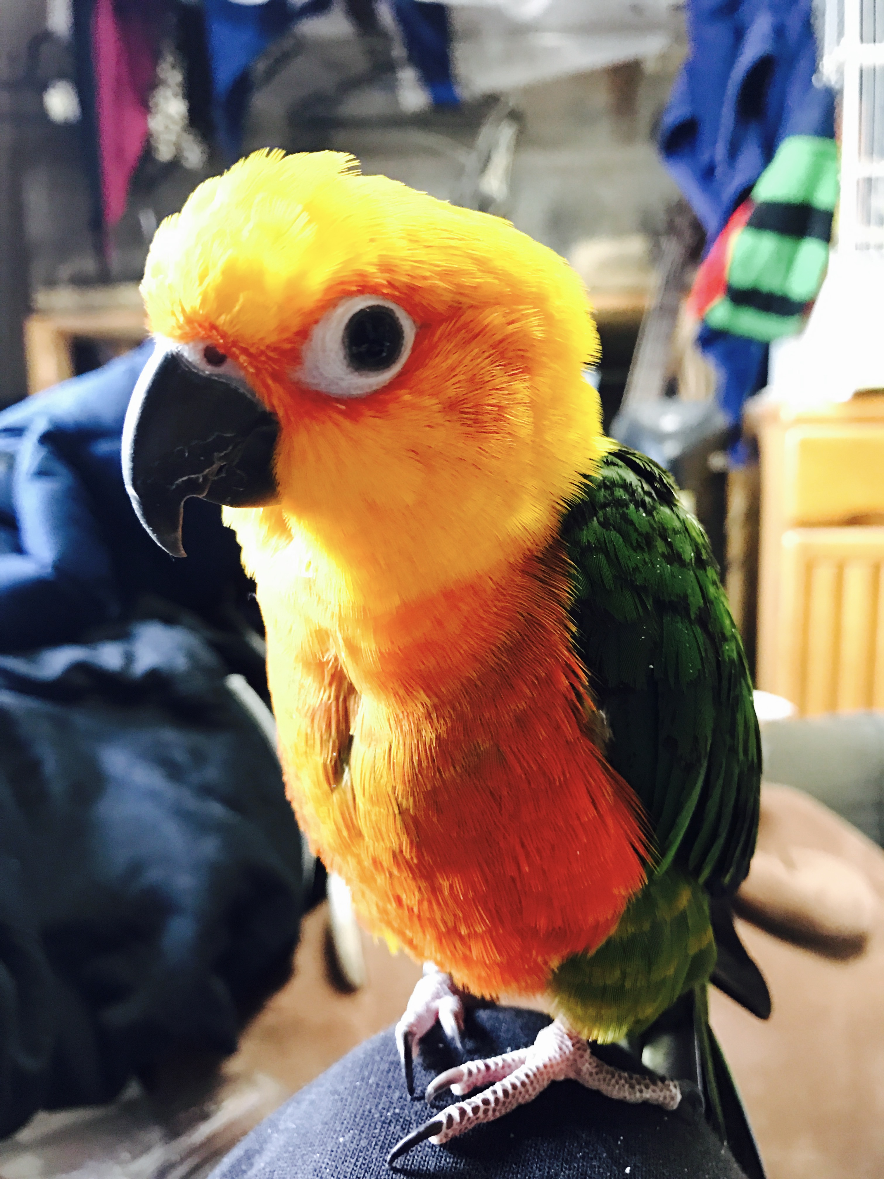 ユーザーの写真