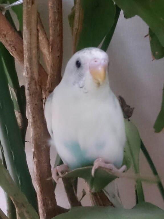 ユーザーの写真