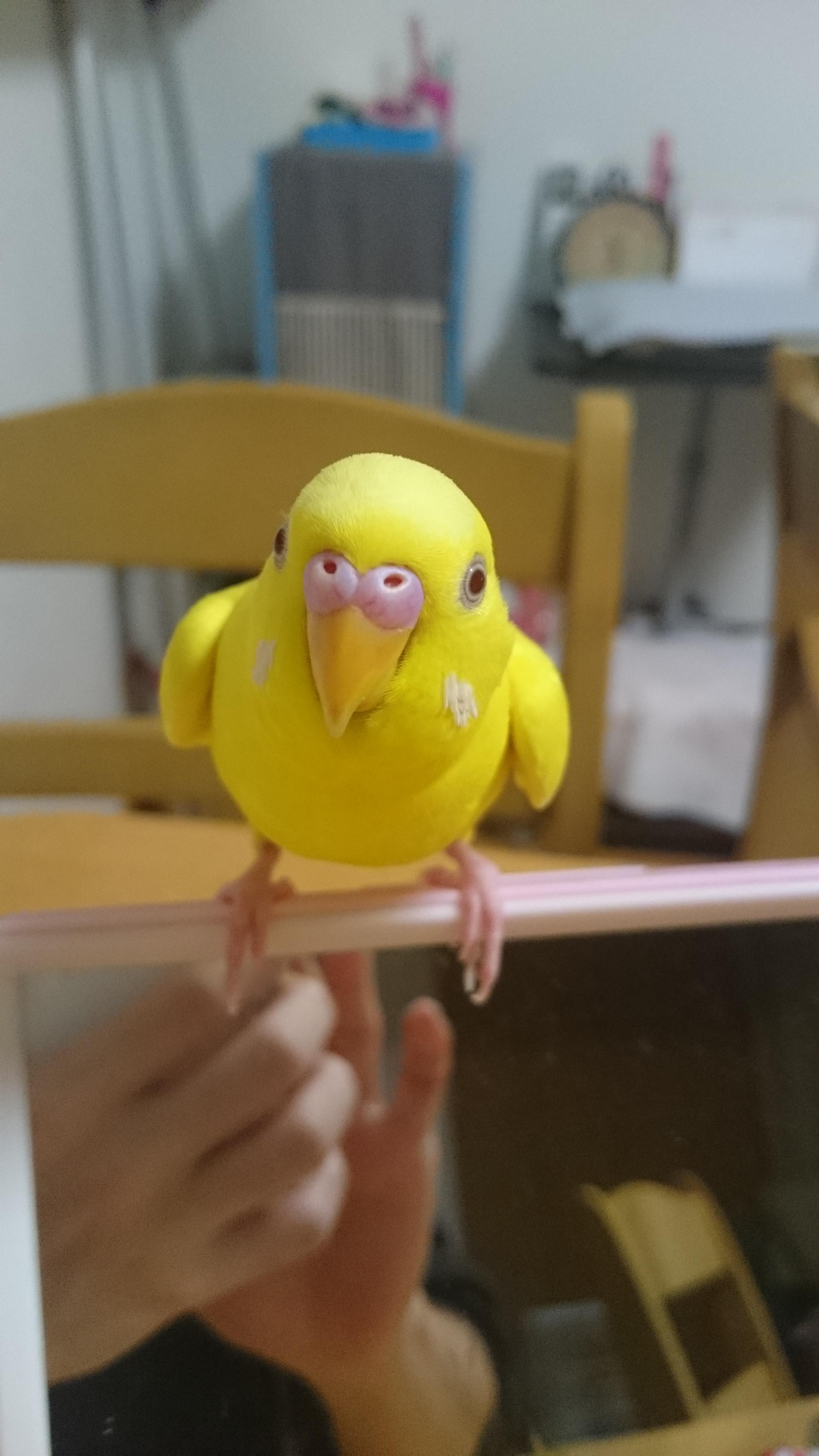 ユーザーの写真
