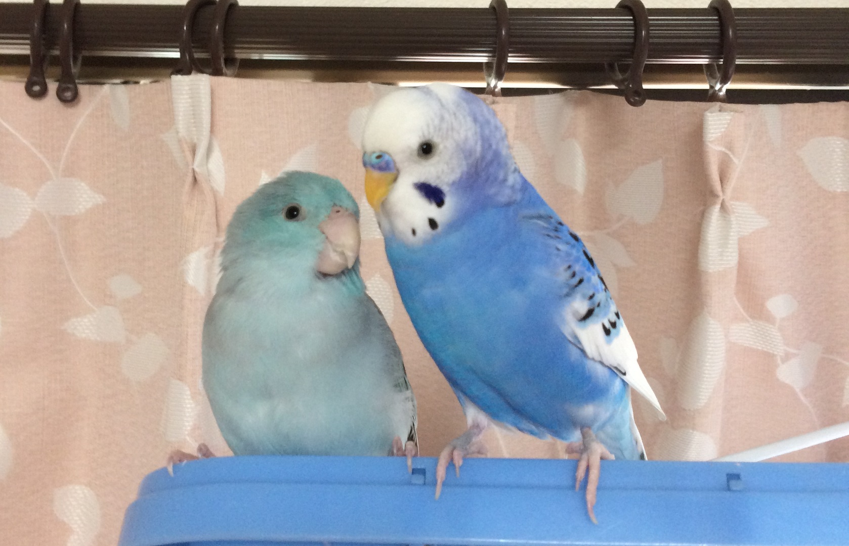 ユーザーの写真
