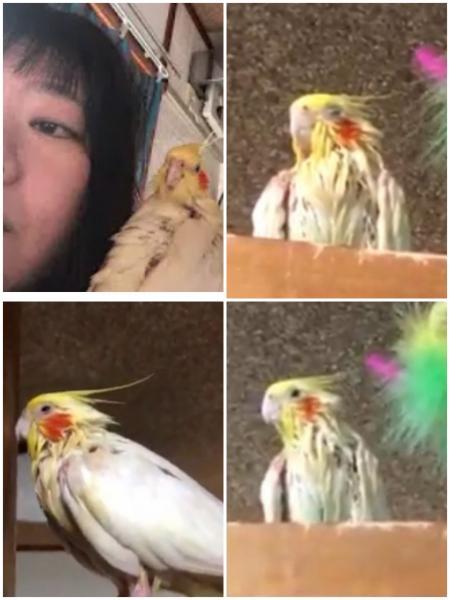 投稿画像