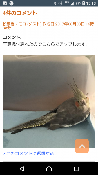投稿画像