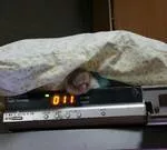 愛鳥さんの写真