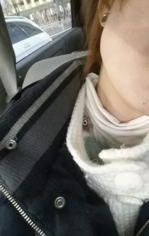 愛鳥さんの写真