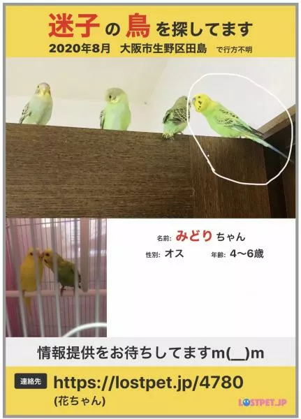 愛鳥さんの写真