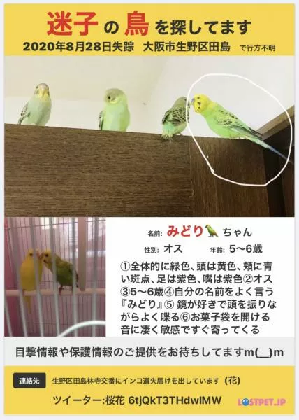 愛鳥さんの写真