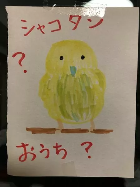 愛鳥さんの写真