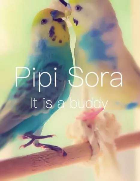 愛鳥さんの写真