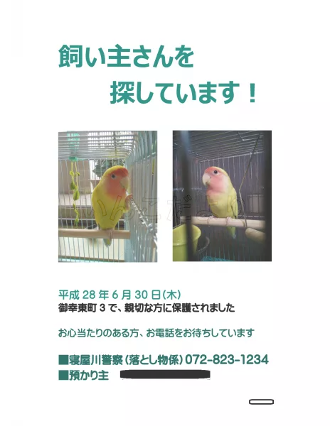 保護鳥の写真