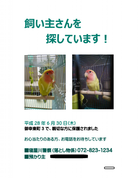 保護鳥の写真