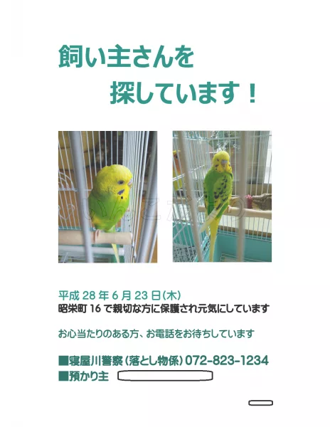 保護鳥の写真
