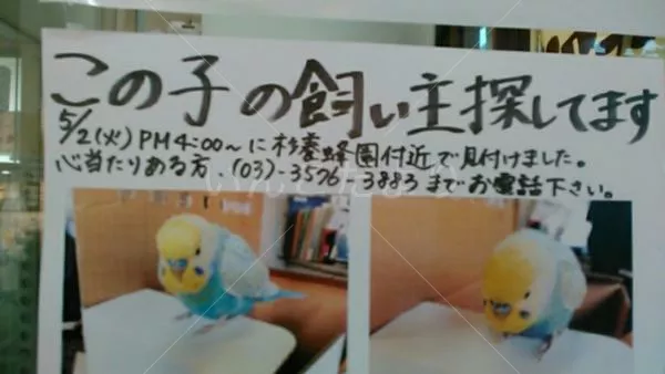 保護鳥の写真