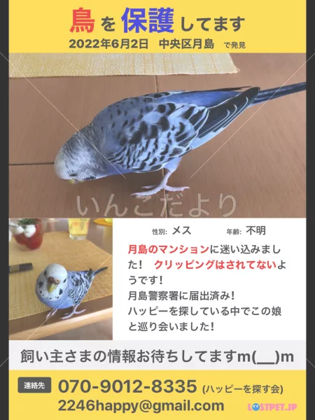 保護鳥の写真