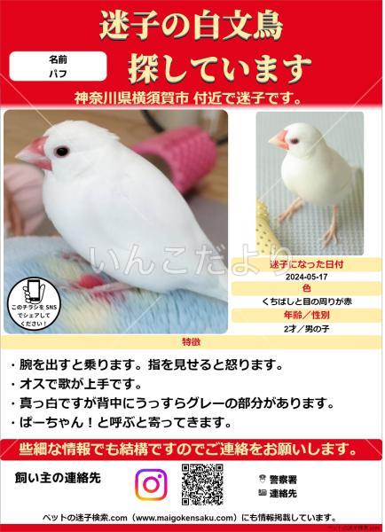 写真なし