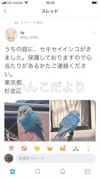 保護鳥の写真