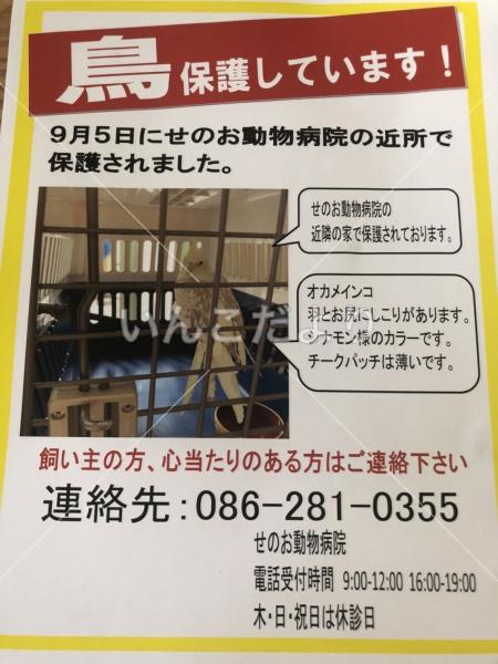 保護鳥の写真