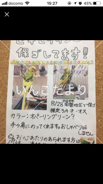 保護鳥の写真