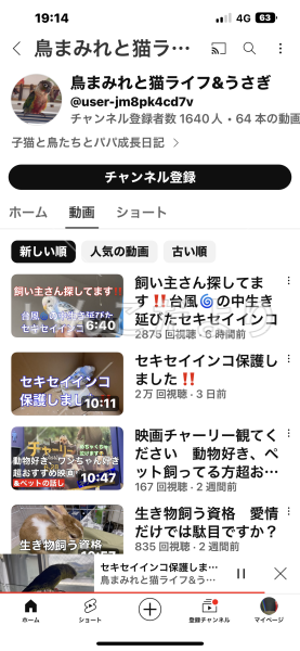 保護鳥の写真