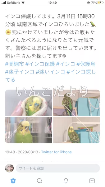 保護鳥の写真