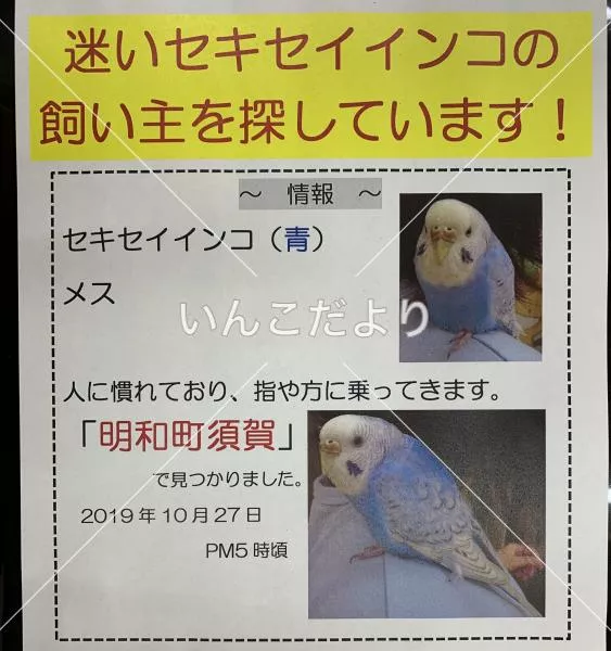 保護鳥の写真