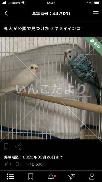 保護鳥の写真