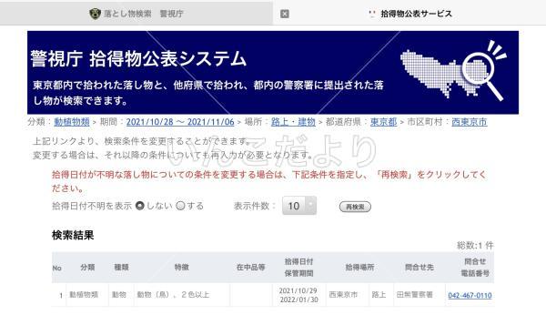 保護鳥の写真