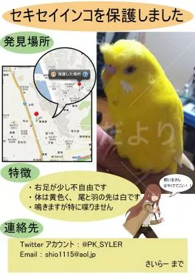 保護鳥の写真