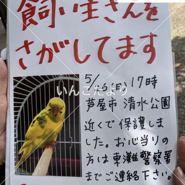保護鳥の写真