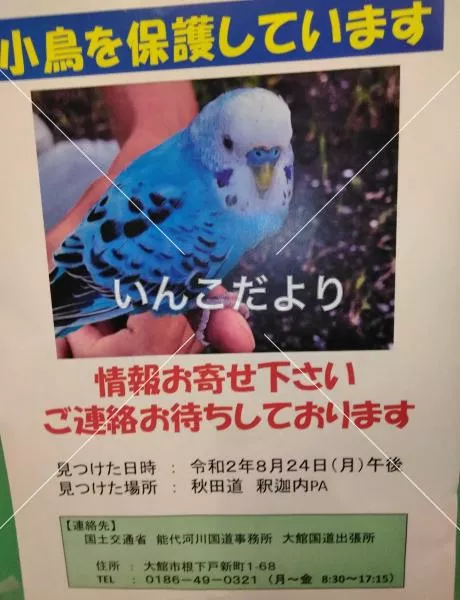 保護鳥の写真