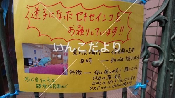 保護鳥の写真