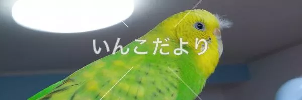 保護鳥の写真