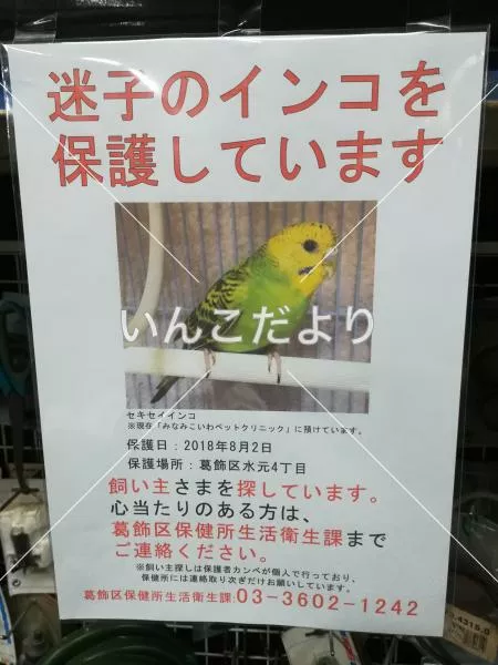 保護鳥の写真