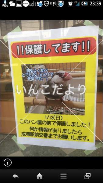 保護鳥の写真