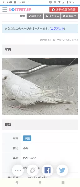 保護鳥の写真