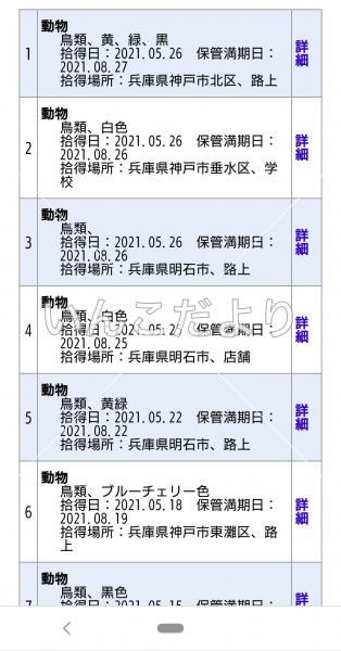 保護鳥の写真