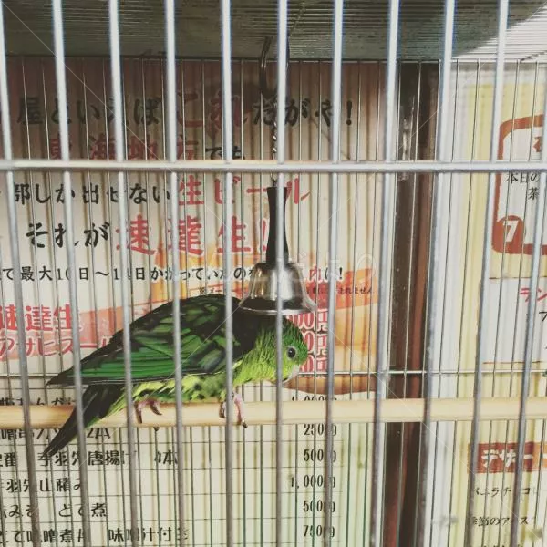 保護鳥の写真