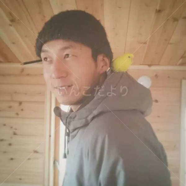 保護鳥の写真