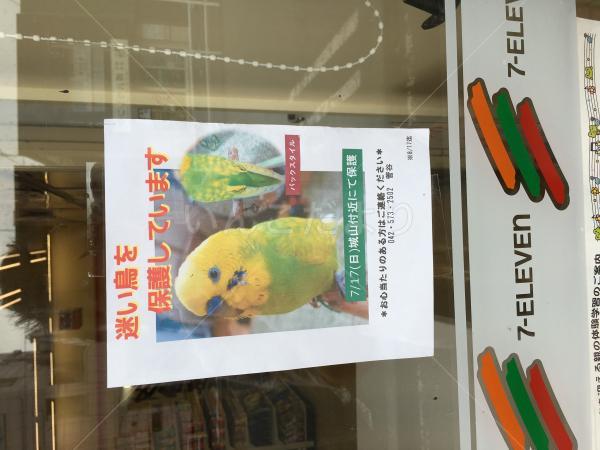 保護鳥の写真