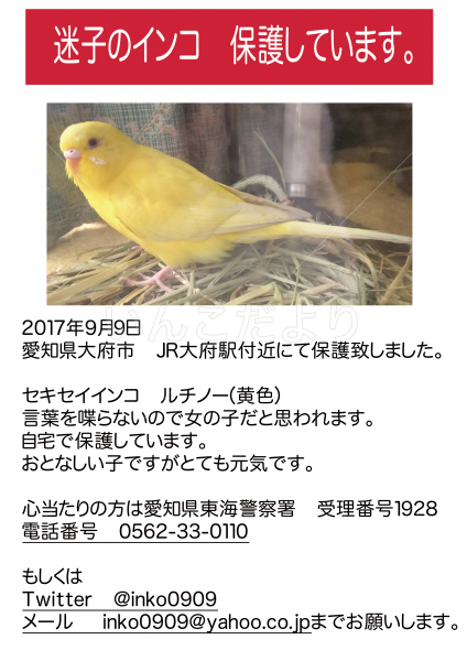 保護鳥の写真