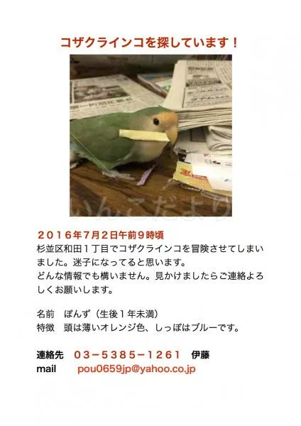 コメントの画像