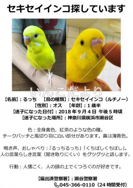 コメントの画像