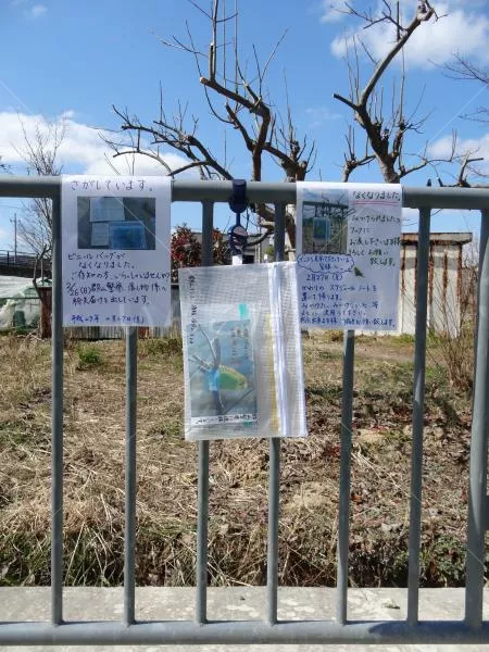 コメントの画像