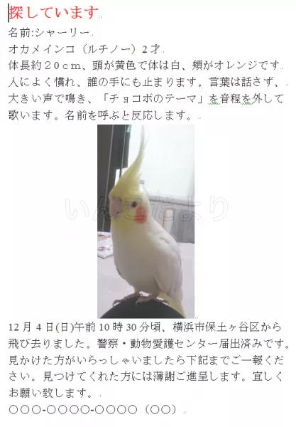 コメントの画像