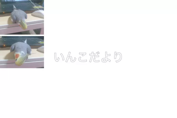 コメントの画像