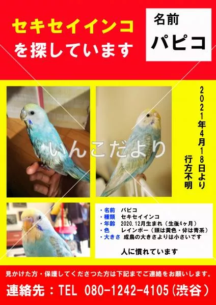 コメントの画像