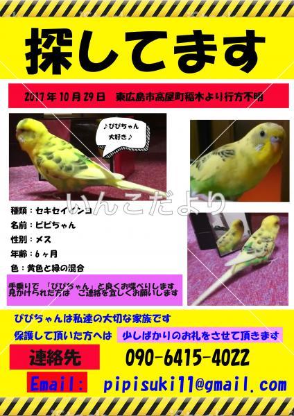 コメントの画像