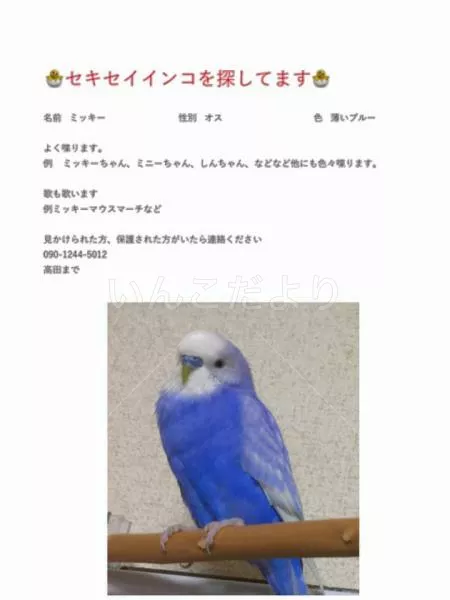 コメントの画像