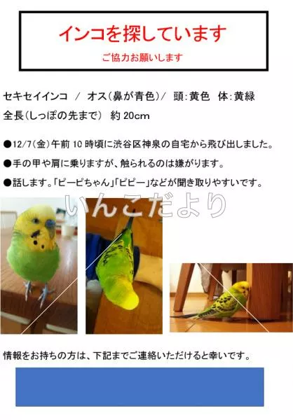 コメントの画像