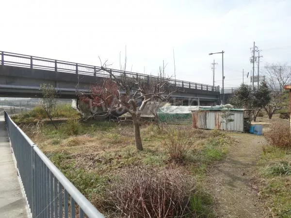 コメントの画像